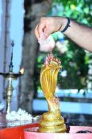 Brahmakalashanga Rathotsava at Shrimath Anantheshwar Temple Vittal (5 May 2025)